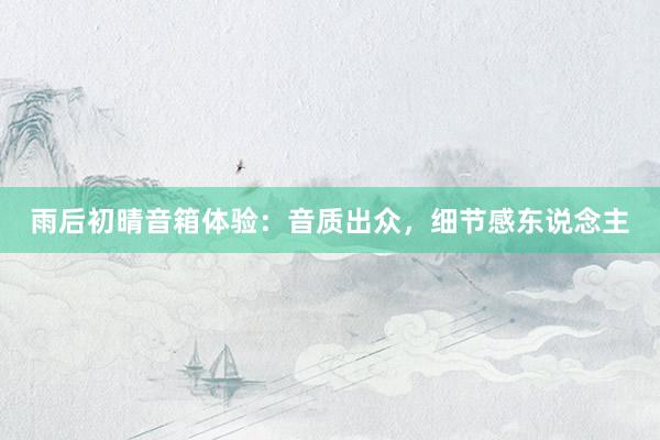 雨后初晴音箱体验：音质出众，细节感东说念主